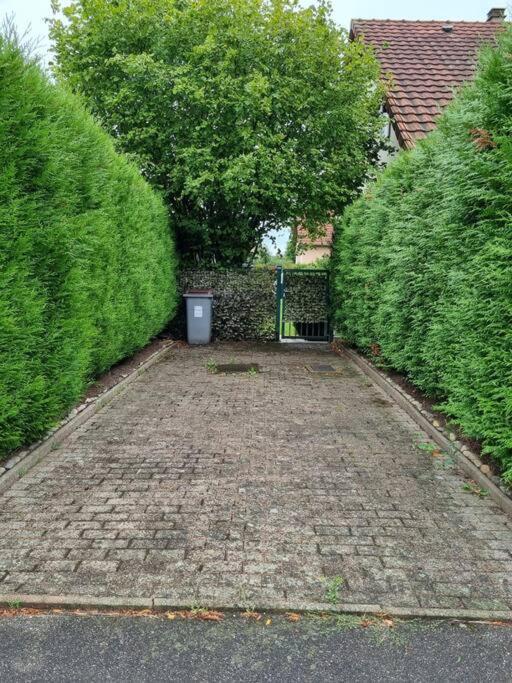 Gemuetliche Oase - Geraeumige Unterkunft Sarreguemines Esterno foto
